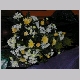 DSCN3252.JPG