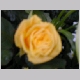 DSCN3254.JPG