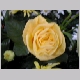 DSCN3255.JPG