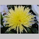 DSCN3258.JPG